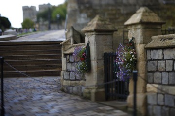 20120729-London-BMW-Olympic-XZX0128.JPG