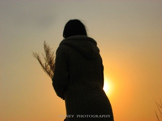 IMG_2392_副本副本.jpg