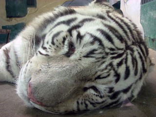 IMG_2577.jpg