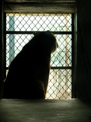 IMG_2582.jpg