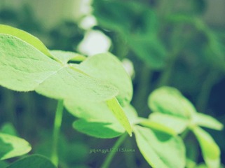 IMG_0507_副本.jpg