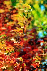 IMG_9024_副本.jpg