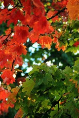 IMG_9018_副本.jpg