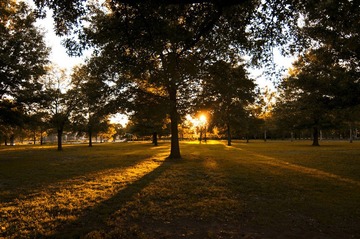 Donaldson Park