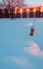 都是雪