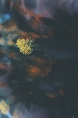 AB37BA8F-A749-4420-BF56-14F13C5D2446/L0/001