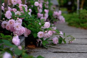 6554CA6A-D2B0-4469-A6C6-AC933399D6E5/L0/001