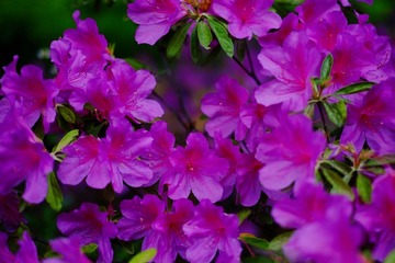 918C430F-665F-4B3B-8158-68AC37FC7BF7/L0/001