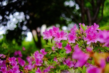 473B122F-25BE-4CEB-AD9C-78154140B26A/L0/001