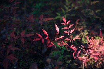 064EEFEB-F4C1-4BE0-9B9F-5A584B428316/L0/001