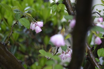 7F5A87B8-921D-4486-86F6-D1749AD571AA/L0/001