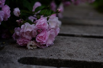 B69DD831-0F5F-4ABB-B7DF-3C86C6DF6761/L0/001