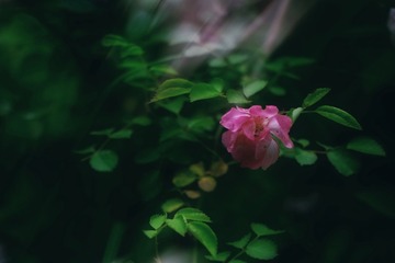 3F70172B-D72B-426D-AD56-5E077F500891/L0/001