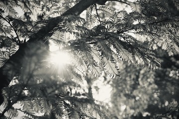 4F4D3EE5-23F5-4E4B-ACC5-F8D0B62BC269/L0/001