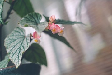 3E782A0E-F785-4687-B3A5-28E01E627C7C/L0/001