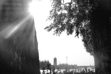 7DFA3288-4C22-49DB-B114-4CCA095EFA7F/L0/001