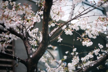 F37FFC13-B0C4-4D4D-9D3F-7EC47B4DB7EB/L0/001