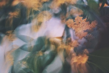 90A3C375-1E90-4F50-B12F-AC35384B4625/L0/001
