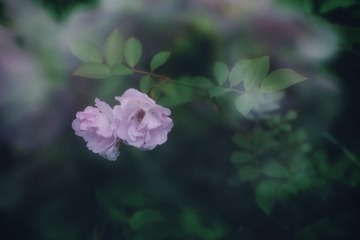 88F00986-082D-4668-B97B-3F91444CF169/L0/001