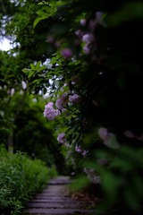 2BA5486E-939B-4896-A3E9-6DD8E497EE81/L0/001