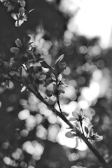 6070298C-BDA2-4499-8E11-7FD68CD34754/L0/001