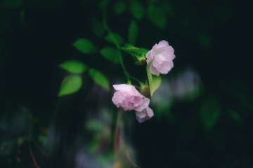 DDC0F9D4-6FD7-413E-A79D-72C4F3517C00/L0/001