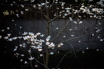 7473E7BC-82CF-48DA-9604-55538C0EDA0D/L0/001