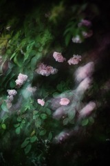9F191829-ADF0-48EF-B43D-8D13A1B86C6D/L0/001