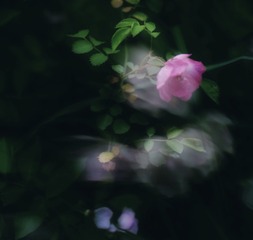 0615D78C-02BC-4272-A3F3-5AD6D3545A6E/L0/001