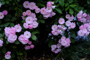 6733EFDA-C6FF-4E22-8CA8-933F31AC37FC/L0/001