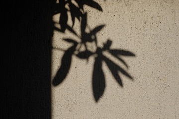 03B063F9-CD65-4DC5-A8FF-2912D2CC1C2D/L0/001