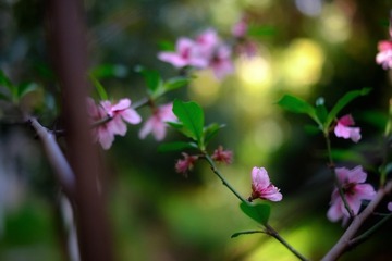 74490FF0-78BF-4CEE-B697-8F8208FF4307/L0/001