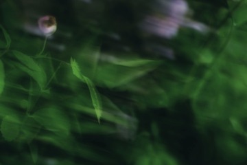 5F4FD4D2-0183-4CB0-A741-C152F1CA8316/L0/001