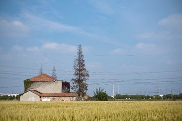 5F46BDD1-FF3E-44DB-99A0-F4F13E729C85/L0/001