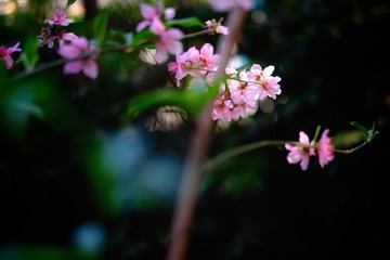 34B25132-B1AF-4C00-9937-F1C96B464961/L0/001
