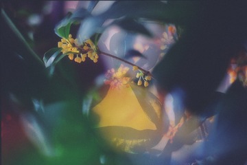 41B11E4D-3BA2-4A95-B4BD-B658FFCE8997/L0/001