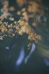 97A92407-691E-494D-B468-DC61011104D2/L0/001