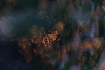 3303FD39-E49E-4305-8091-DEFB5C721859/L0/001