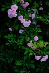 0E02B460-6208-42B7-9BF1-3903B91A1887/L0/001