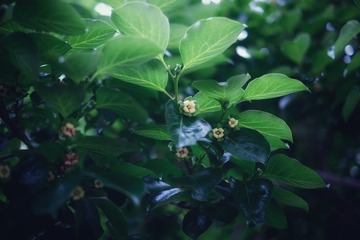 CB9B00B6-5D51-461C-B791-3CCA78E5DC4C/L0/001