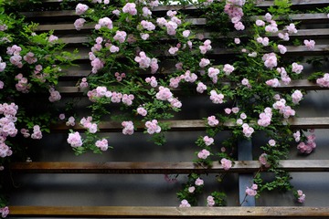 A94B6C40-6BE6-465A-9064-59CBF7110048/L0/001