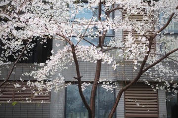 90769269-ED41-43E9-A047-A71524905467/L0/001