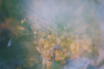 67BFC59E-9263-4F02-96E1-B1A145C3EA22/L0/001