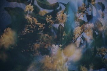 E79E4695-1181-4F2C-80B6-A09CF2B9F434/L0/001