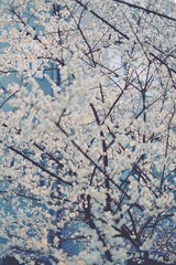 872550EC-576A-488E-8E0F-0DF4926AF84E/L0/001