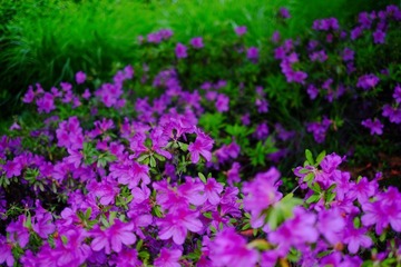 37DC675D-59F2-4C7A-9A65-8EC6D18221B2/L0/001