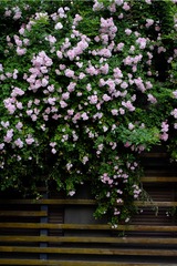 92691F32-AE45-4943-B5B6-087AF182A79B/L0/001