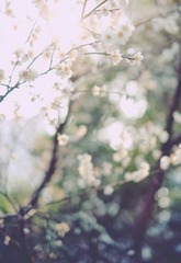 F4D370D4-3C3F-4DA0-B2F7-176182022CB3/L0/001