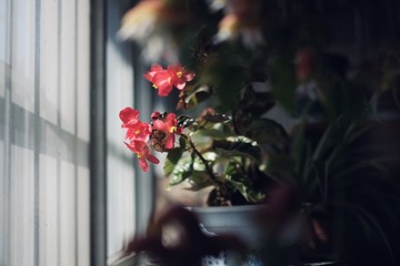 37908F79-E75B-4749-B2D3-1B7C1ED64314/L0/001