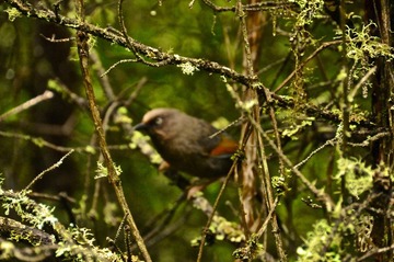 DSC_0119.JPG